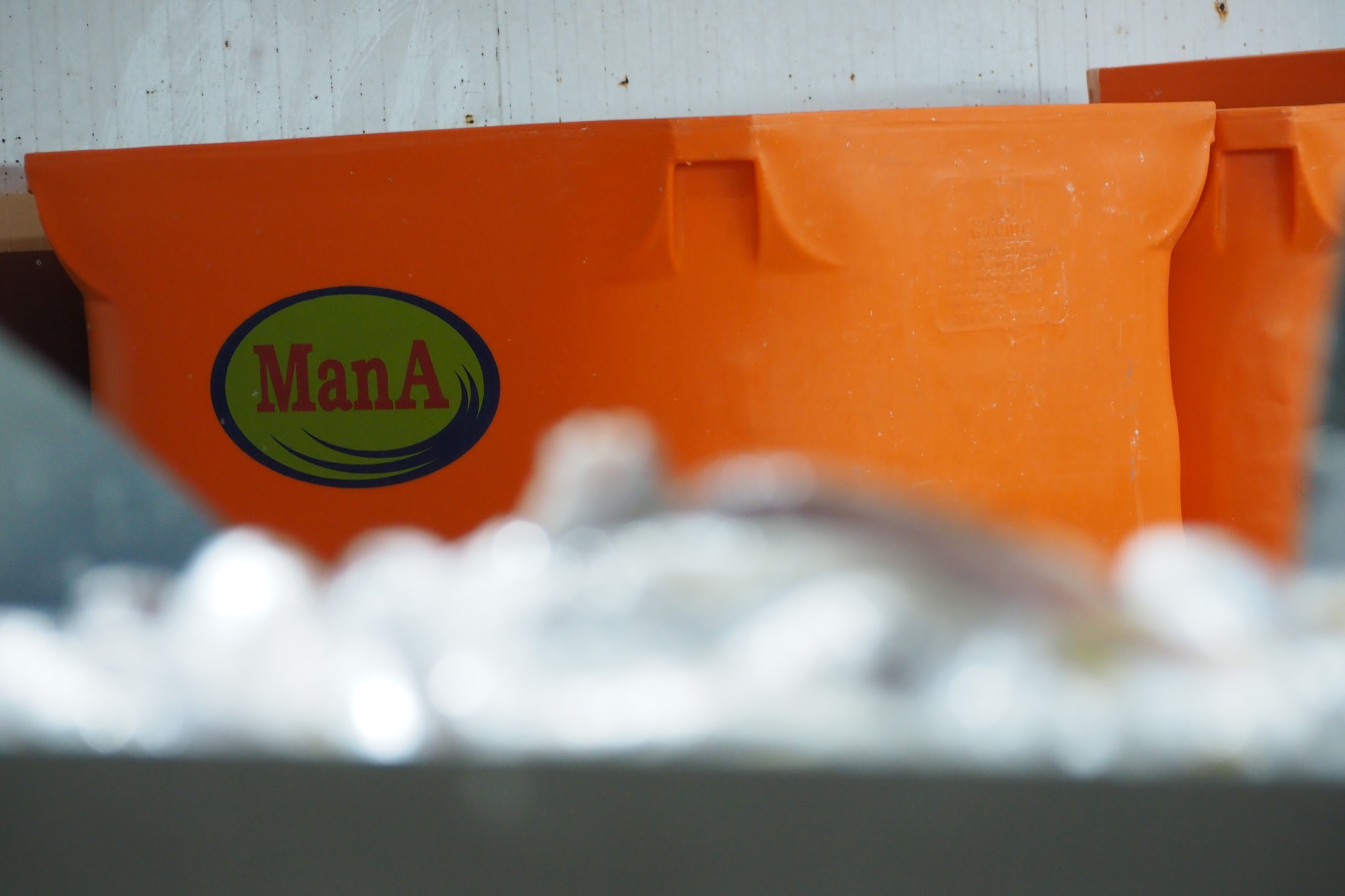 561426219_824157216649232_8795453478579048840_n.jpg 561426219_824157216649232_8795453478579048840_n.jpg